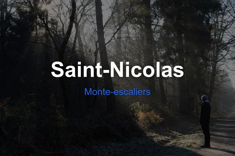 Monte-escaliers à Saint-Nicolas, Belgique - Trouvez un professionnel
