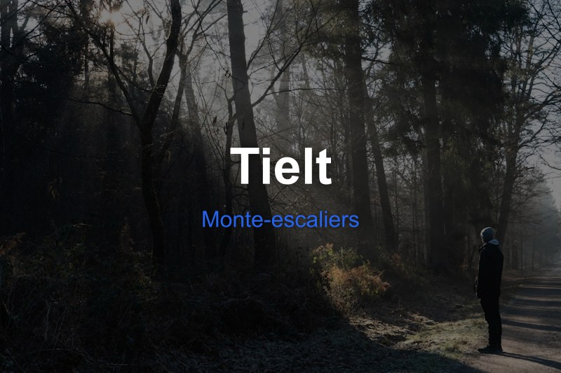 Monte-escaliers à Tielt, Belgique - Trouvez un professionnel